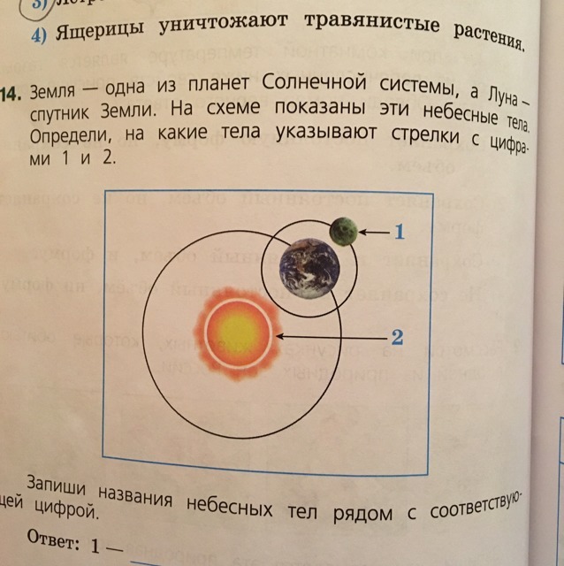 Определи какое тело