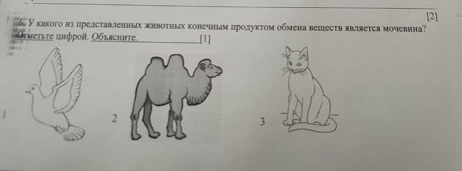 Определи название каждого элемента отмеченного цифрой на рисунке