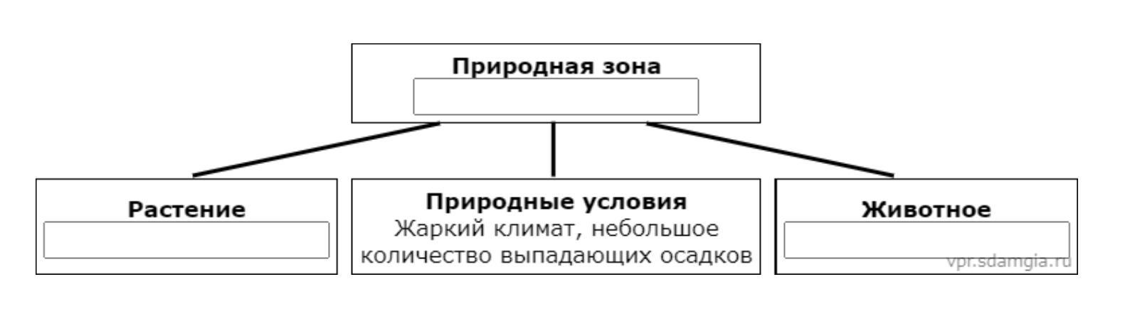 Заполните пустые ячейки на схеме выбрав необходимые слова из приведенного списка пустыня тайга