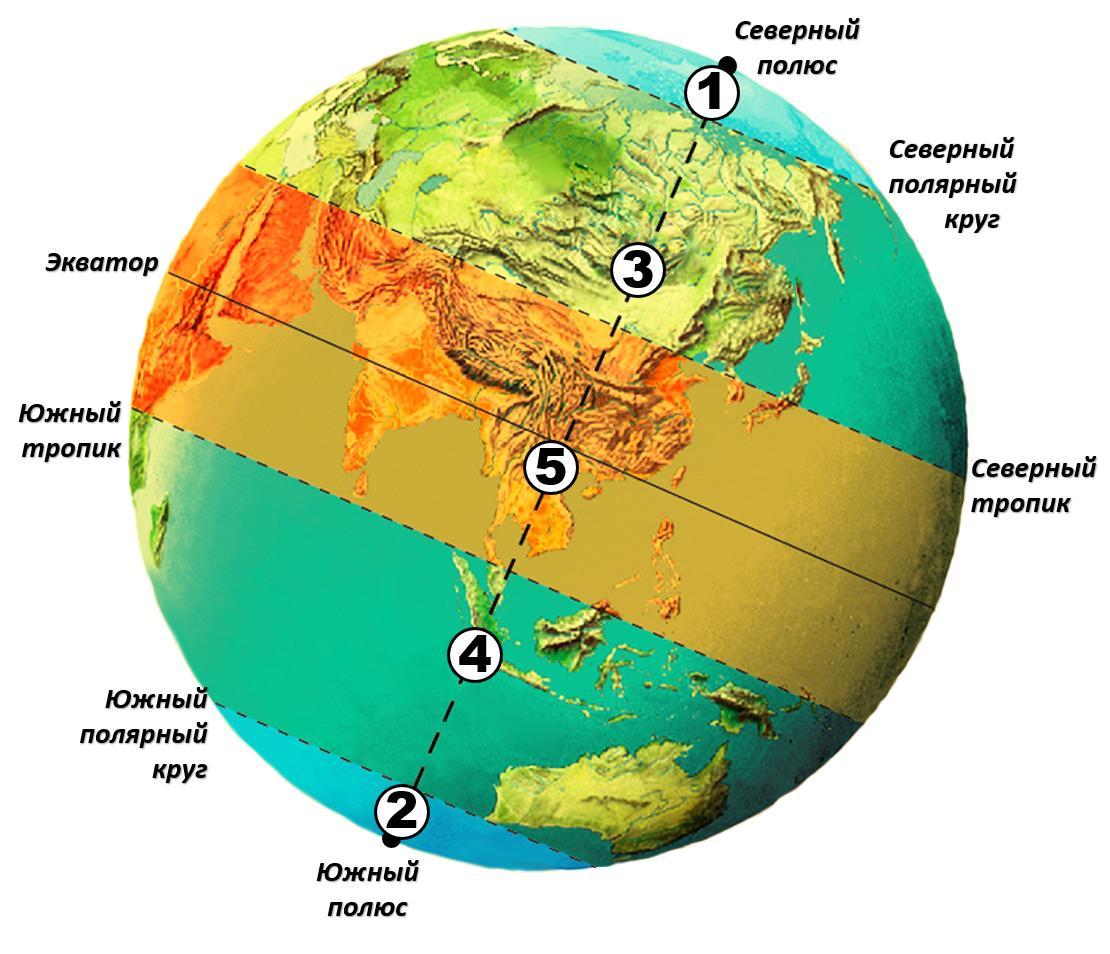 Какой цифрой на рисунке обозначен северный полярный пояс освещенности