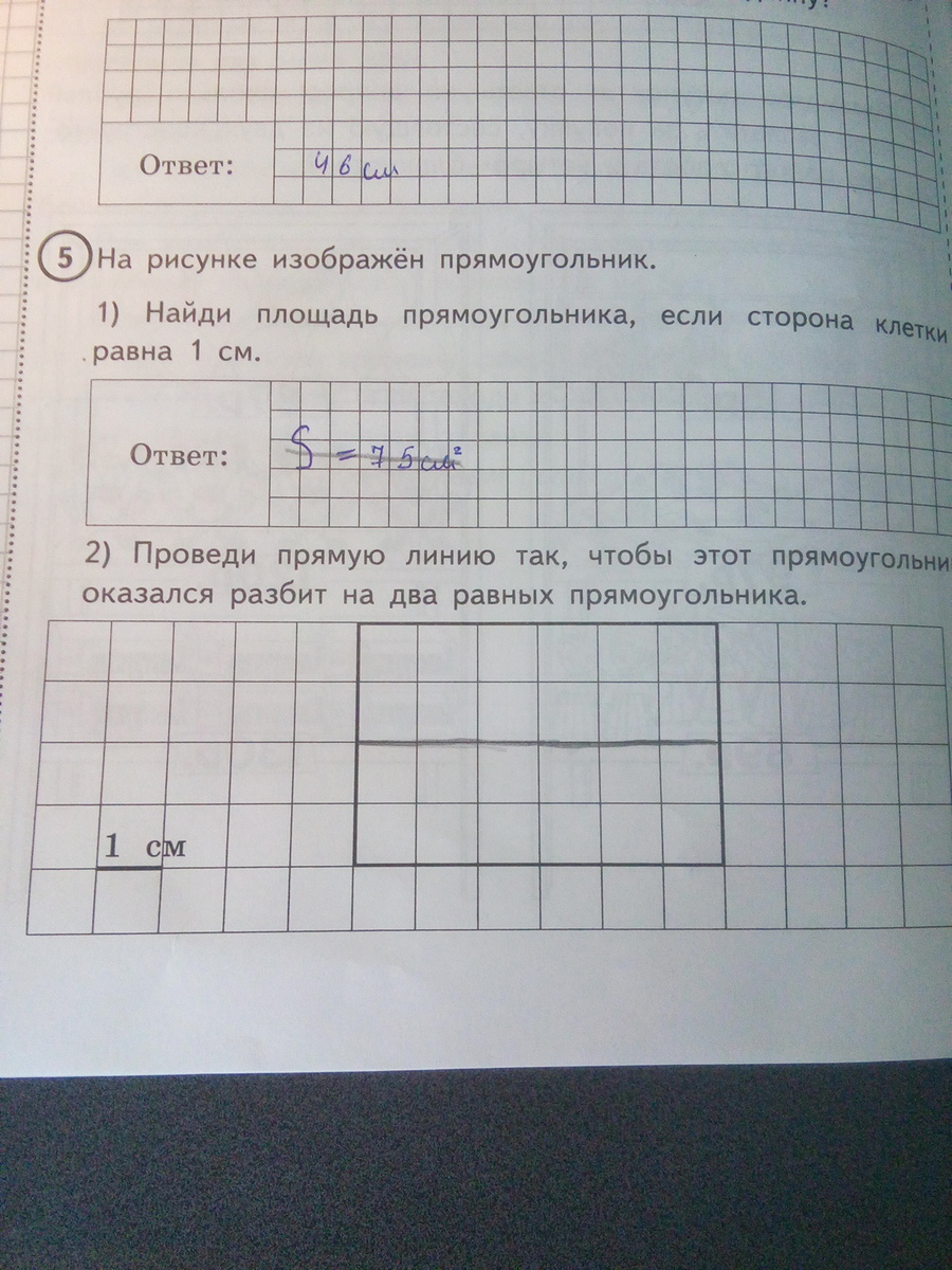 Найди площади прямоугольников изображенных на чертеже