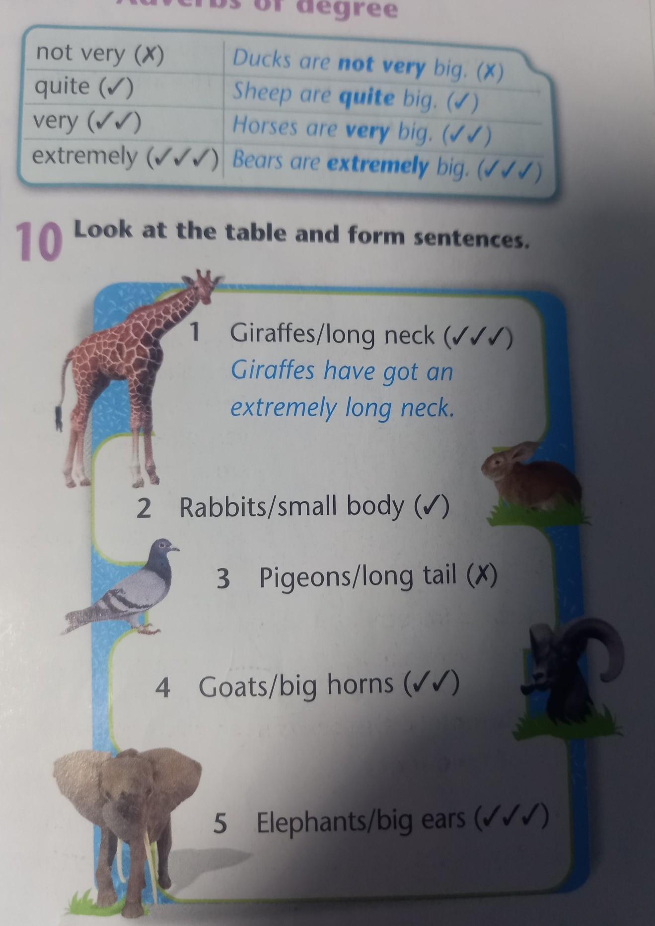 The giraffe has got a long neck. 1 A Dog can/has got a long Tail. Giraffes have long check.