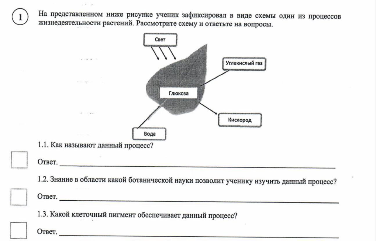 Рассмотрите рисунок 3.1 и ответьте на вопросы