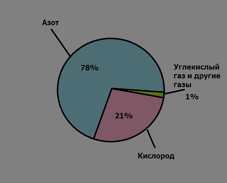 Круговая диаграмма состава воздуха