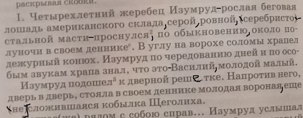 Он по обыкновению сел в углу комнаты знаки препинания