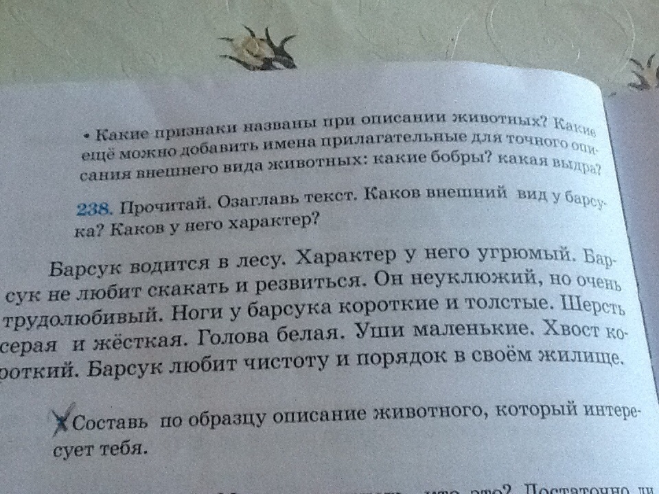 Сочинение 10. Сочинение 10 предложений. Сочинение про любое животное 10 предложений. Сочинение про белочку 4 класс русский язык. Сочинение из 10 предложений.