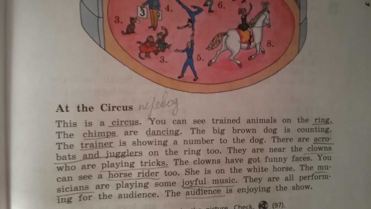 Larry am at the circus. This is the Circus ответ. At the Circus текст. What animals can you see in the Циркус. 9 А Фе еру сшксгы.