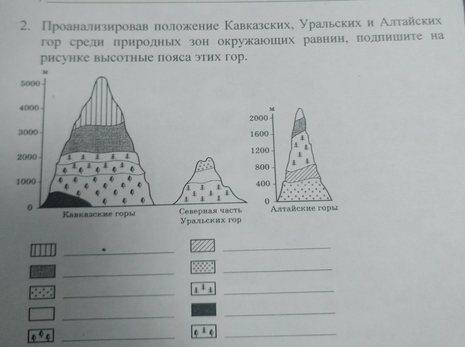 Рябчиков а м структура высотной зональности ландшафтов суши фото 113