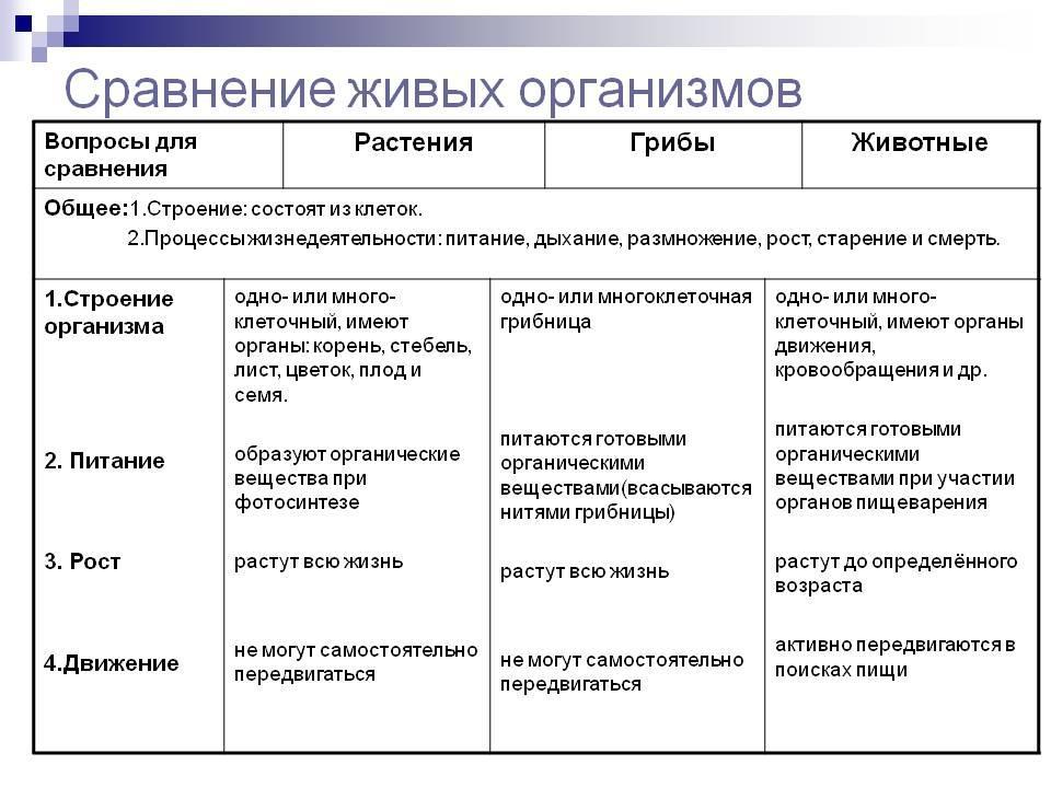 Изучите рисунок благодаря какому процессу происходит формирование организмов данной группы