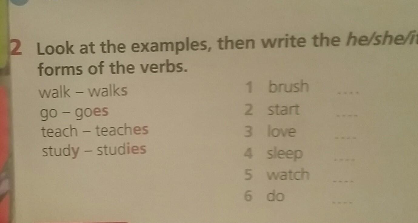 Choose and colour then write перевод. She teach или teaches.