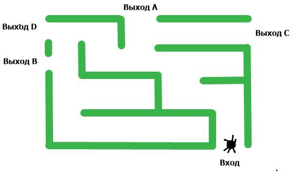 На рисунке изображен лабиринт мышка заползает в лабиринт в точке вход развернуться и идти назад