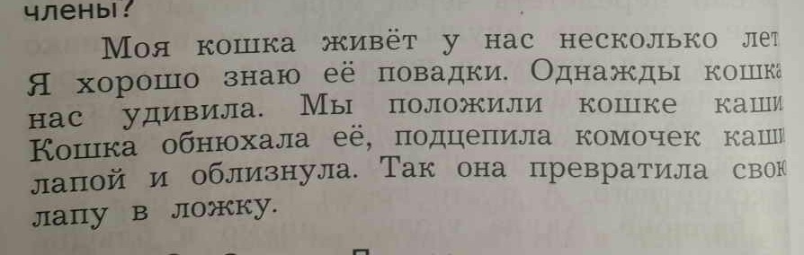 2 предложения год. Несколько предложений пожалуйста. Два предложения о русском языке. Задирапридумать 2 предложения. Несколько предложений про пожжврны.