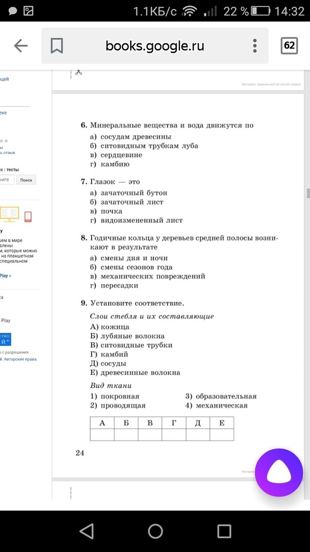 Тест и его строение. Тест по теме стебель. стебель его строение и значение 6 класс тест с ответами. тест 6 вариант 2 стебель его строение и значение.