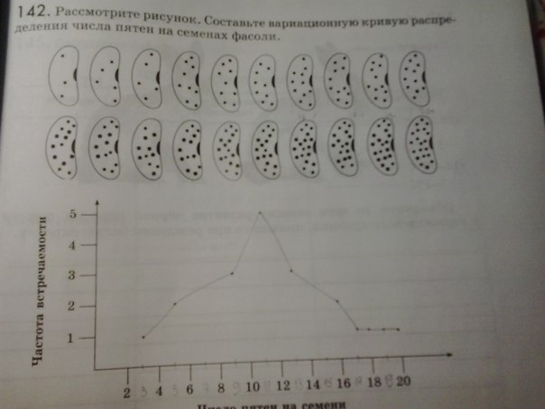 Рассмотрите рисунок сделайте вывод