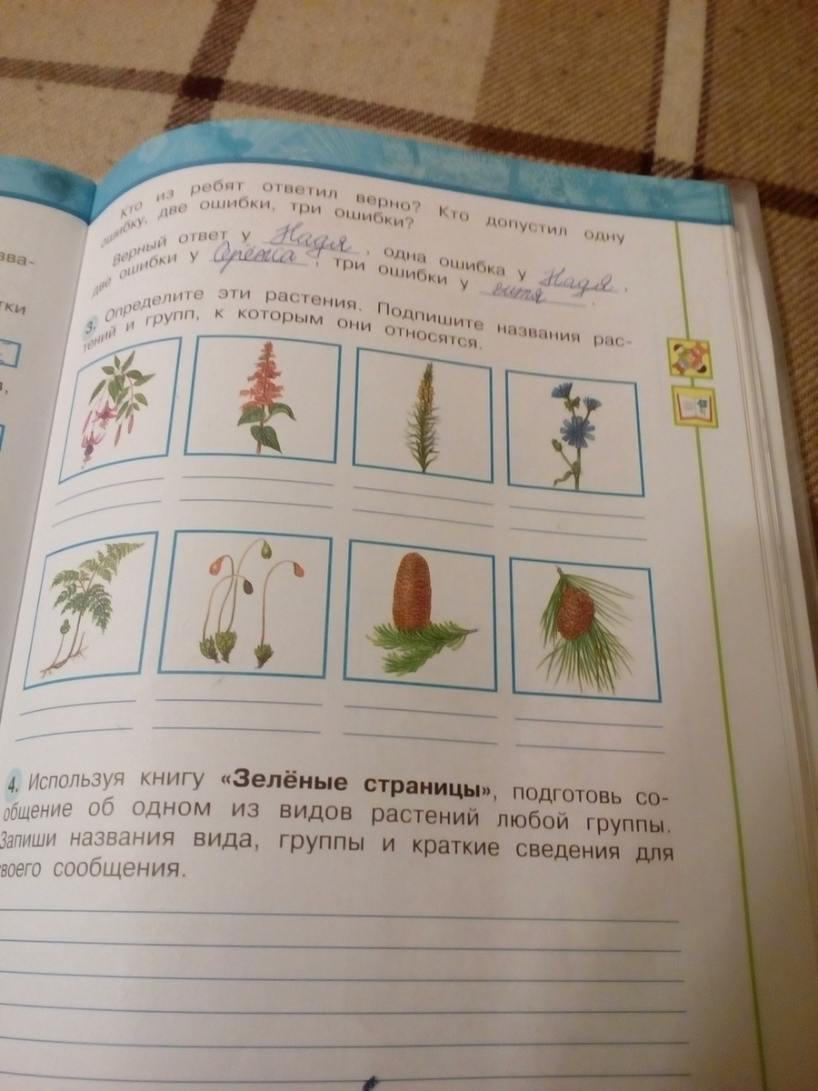 Окружающий мир 2 класс страница 61. Говорящие названия растений. Запиши названия растений. Вид растений любой группы. Подпиши название растений окружающий мир 1 класс.