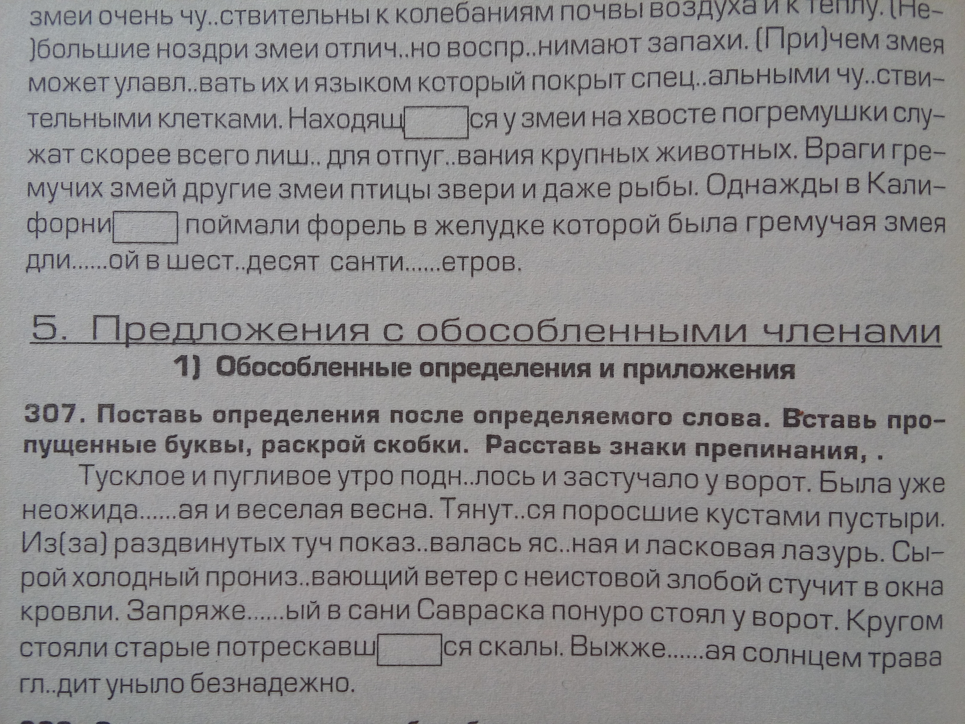 контрольная по русскому в 11 классе по обособленным членам фото 88