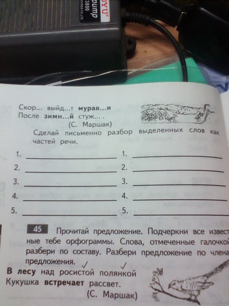 Разбери выделенные. Сделай письменно разбор ?. Как сделать письменный разбор слова. Сделай письменно разбор выделенных слов как частей речи. Письменный разбор слова как части речи.