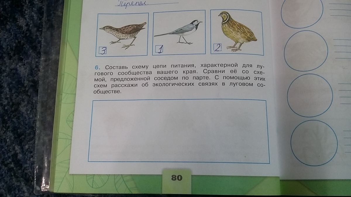 С помощью текста учебника пронумеруй рисунки в той последовательности