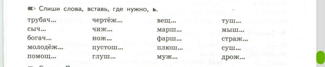 Вставить где необходимо ь на конце существительных мышь рубеж чертеж