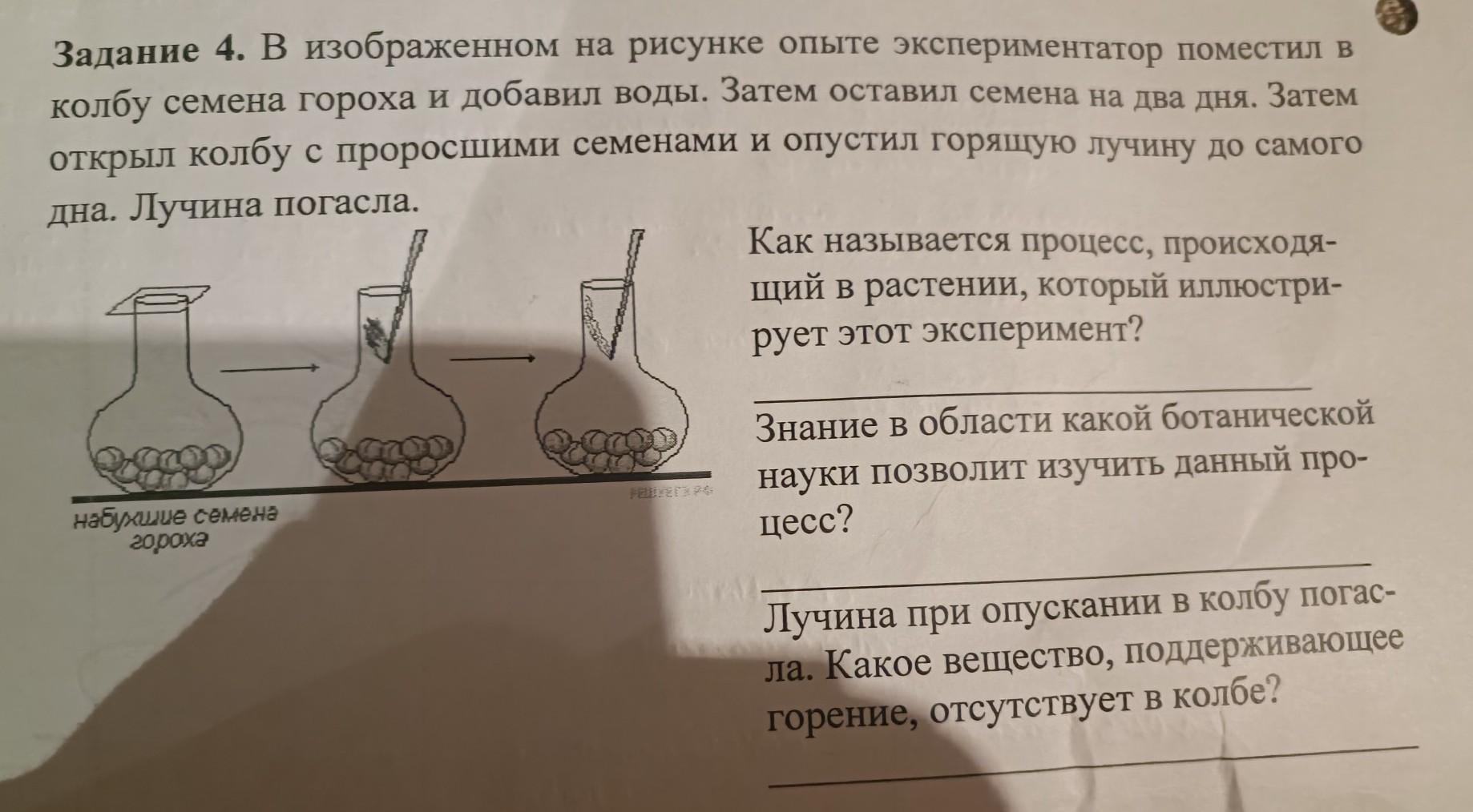 Экспериментатор поместил семена фасоли в сушильный шкаф как изменилась концентрация солей