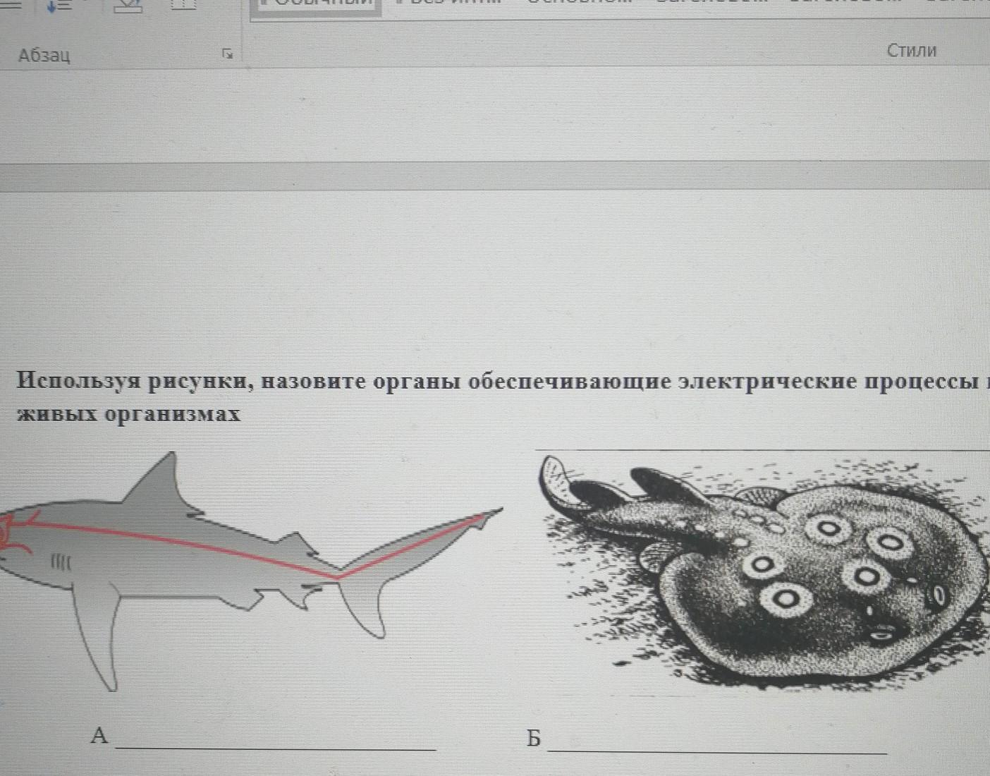 Назовите человека изображенного на иллюстрации используя изображение укажите и обоснуйте какой титул