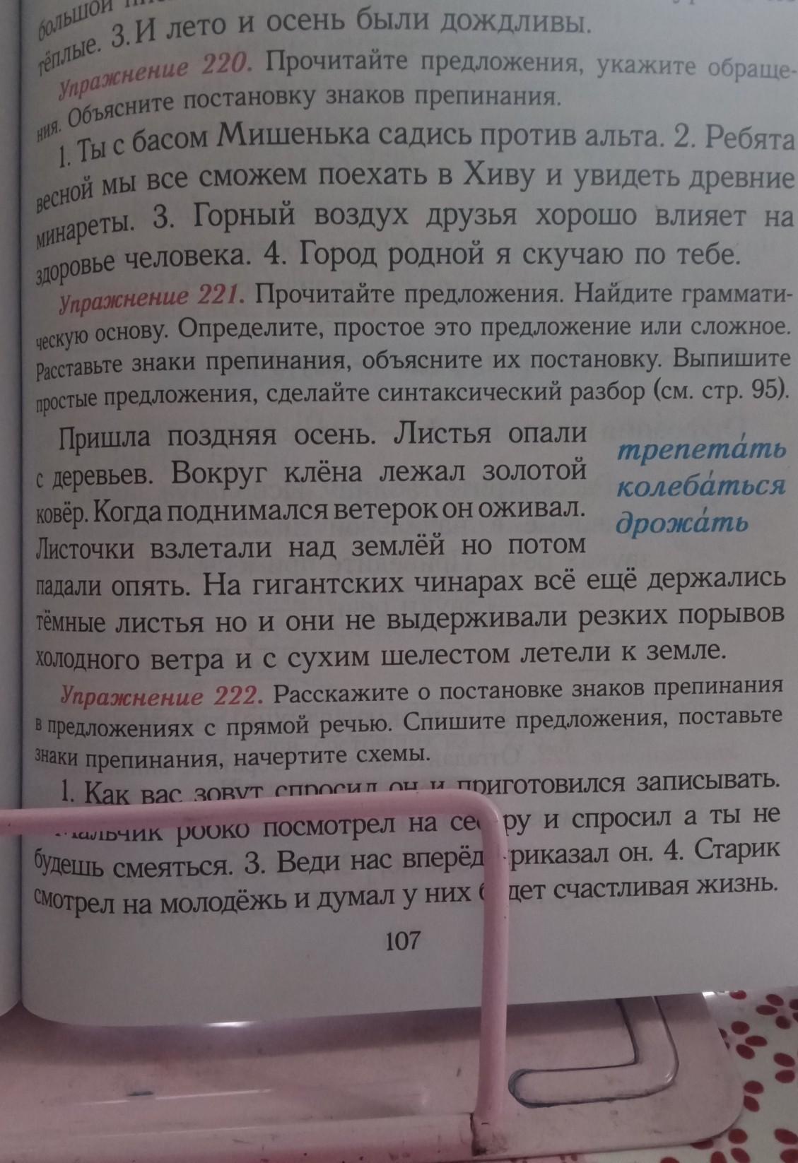 Найдите и выпишите простые предложения. Выпишите простое предложение.