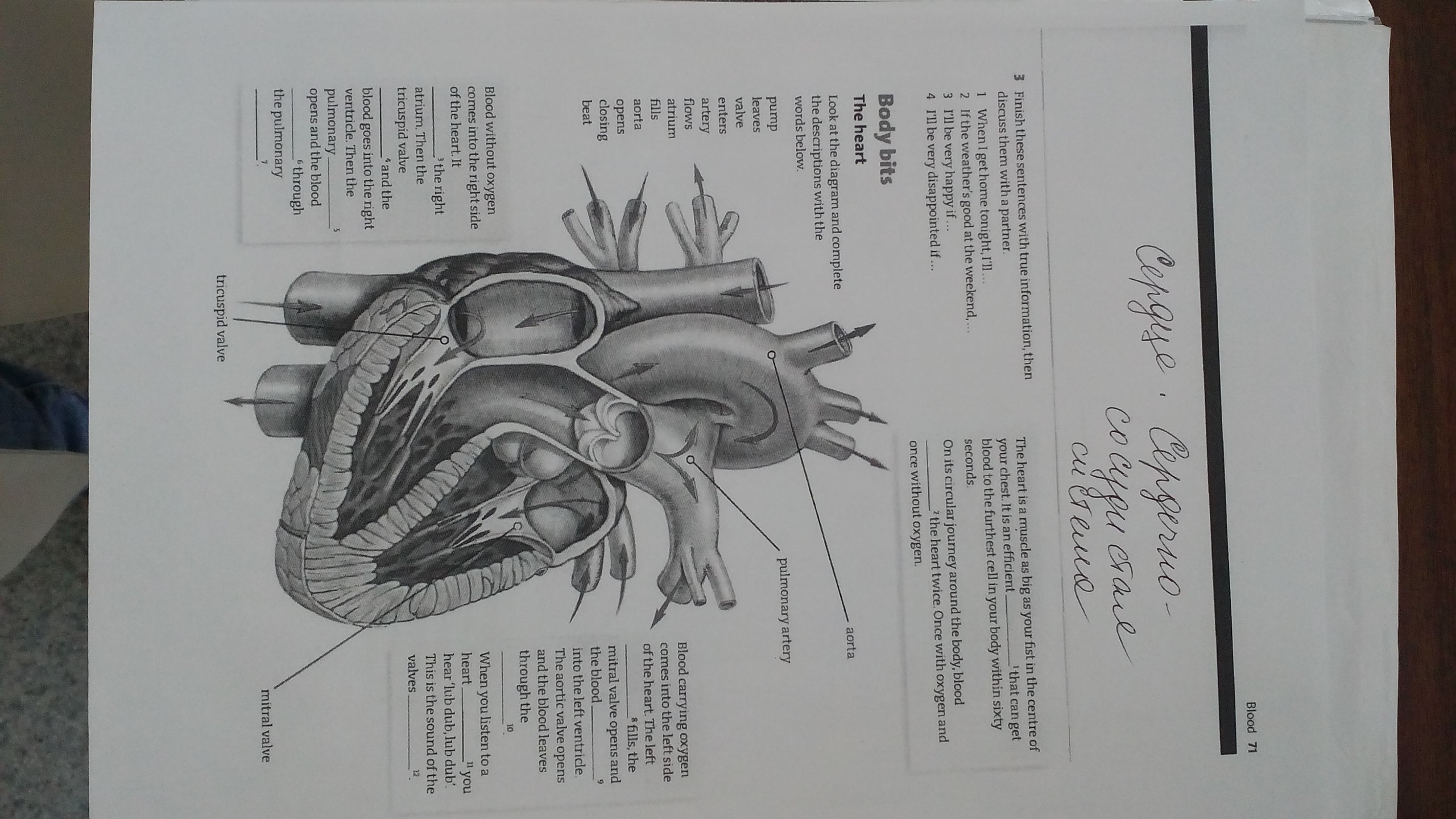 This heart looking. Body bits the Heart ответы. Look at the diagram and complete the descriptions with the Words below. Look at the diagram and complete the descriptions with the Words below Pump leaves.