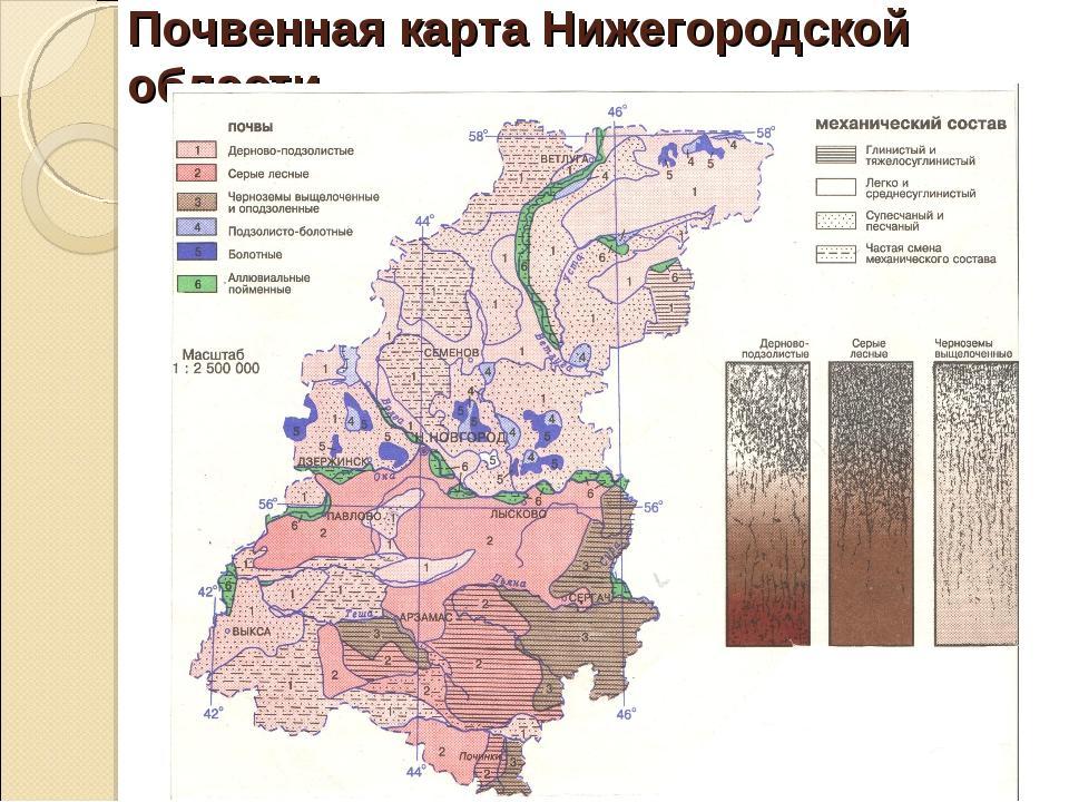 Почвенная карта дает информацию