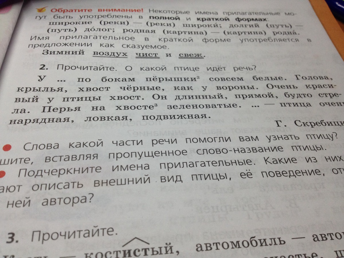 У сороки перышки по бокам совсем белые. О какой птице идет речь у по бокам пёрышки совсем белые. У сороки по бокам перышки совсем белые грамматическая основа. Прочитайте о какой птице идет речь у по бокам. Скребицкий у по бокам перышки совсем белые.