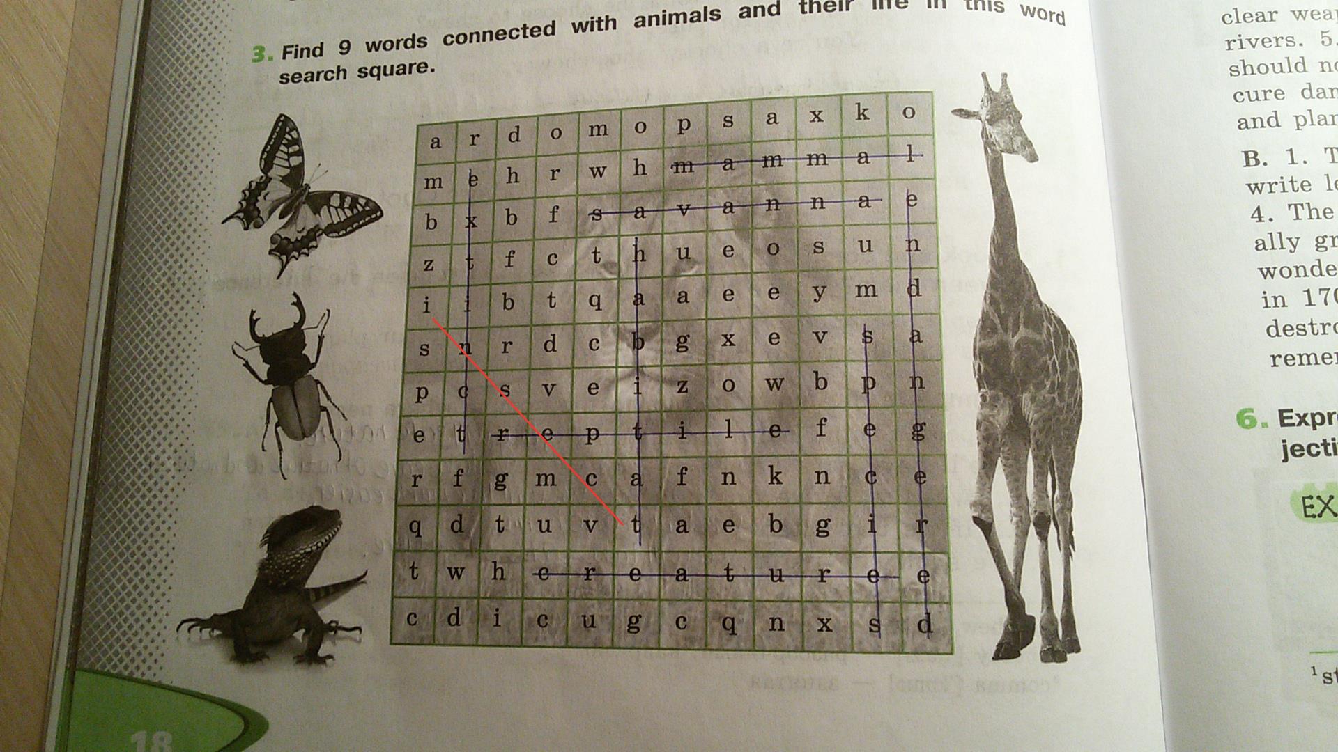 Нападение 5 букв. Find Words animals. Find 9 Words connected with animals and their Life in this Word search Square. Find the animals and write. Животные сверху букв.