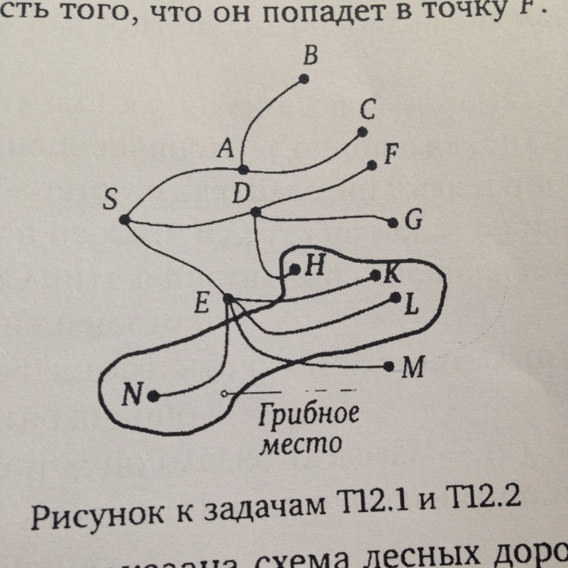 На рисунке показана схема лесных дорожек пешеход идет из точки s по дорожкам на каждой