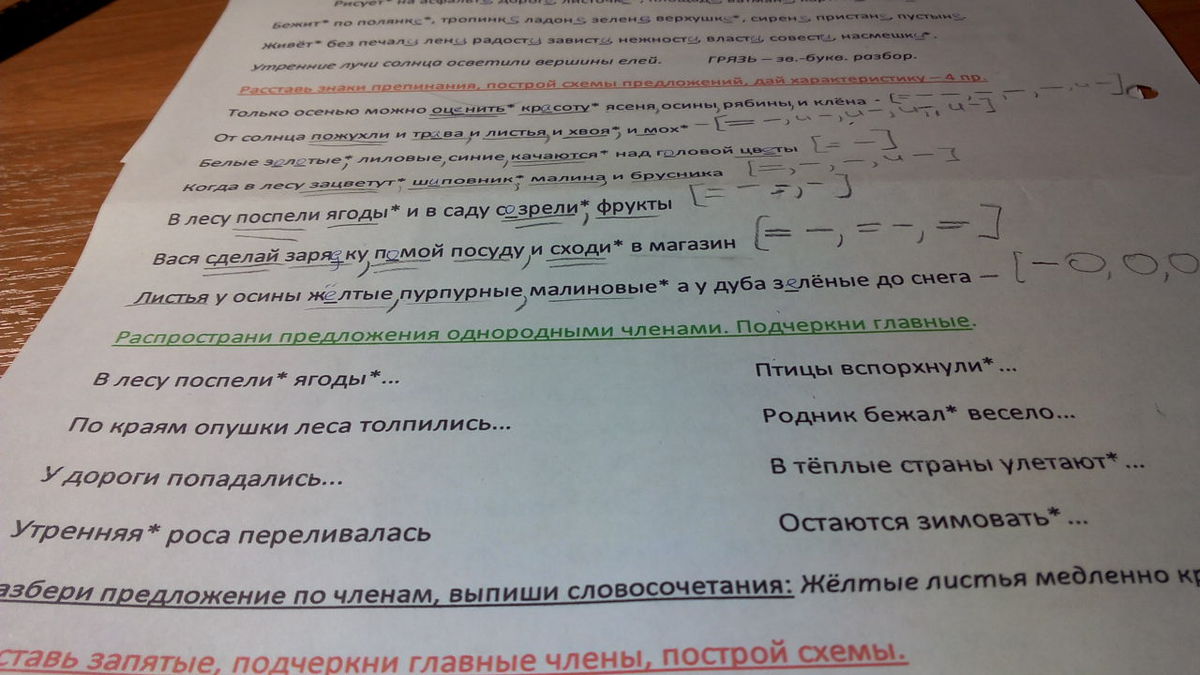 Разбор по чл. Подчеркнуть главные члены предложение в лесу. В лесу выросли грибы. Разбор предложения. Подчеркни главные члены предложения в лесу. На опушке леса синтаксический разбор.