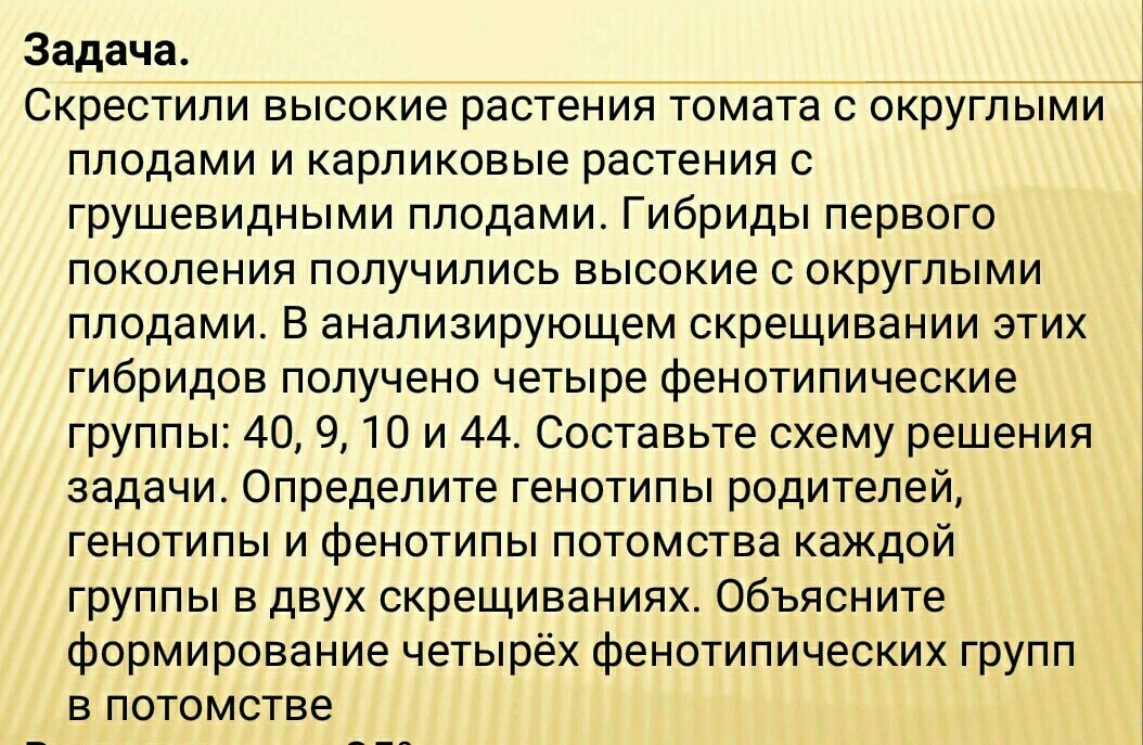 При скрещивании растений томата. . Скрестили высокие растения томатов с округлыми плодами.. Скрестили высокие растения томата с округлыми плодами и Карликовые. Скрестили высокие растения томата. Скрестили высокие растения томата с округлыми.