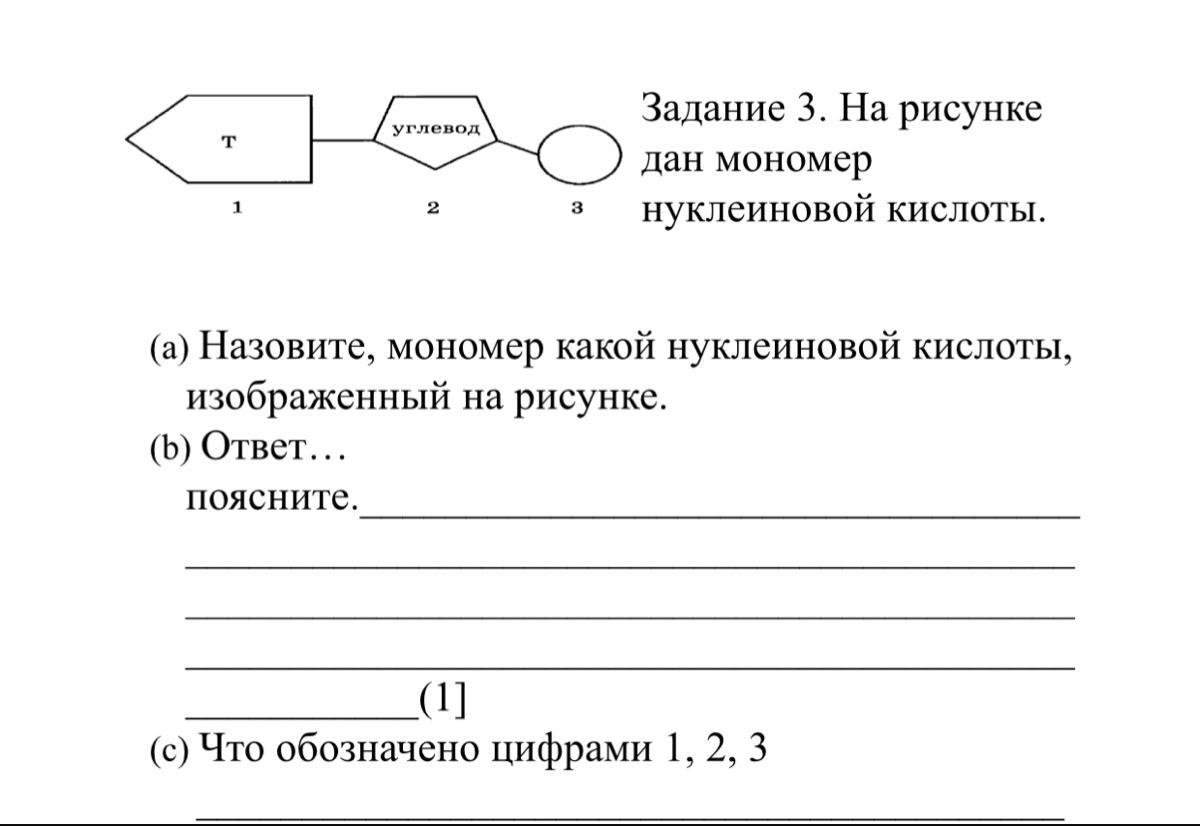 Назовите мономер изображенный на рисунке ответ поясните что обозначено цифрами 1 2 3