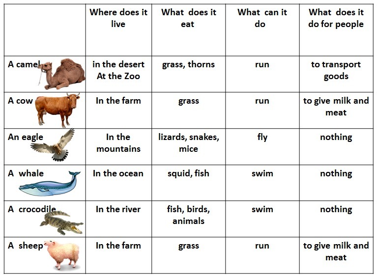 Where does your friends live. Животные на английском языке. Animals таблица. Животные в английском языке таблица. На англ животные таблица.