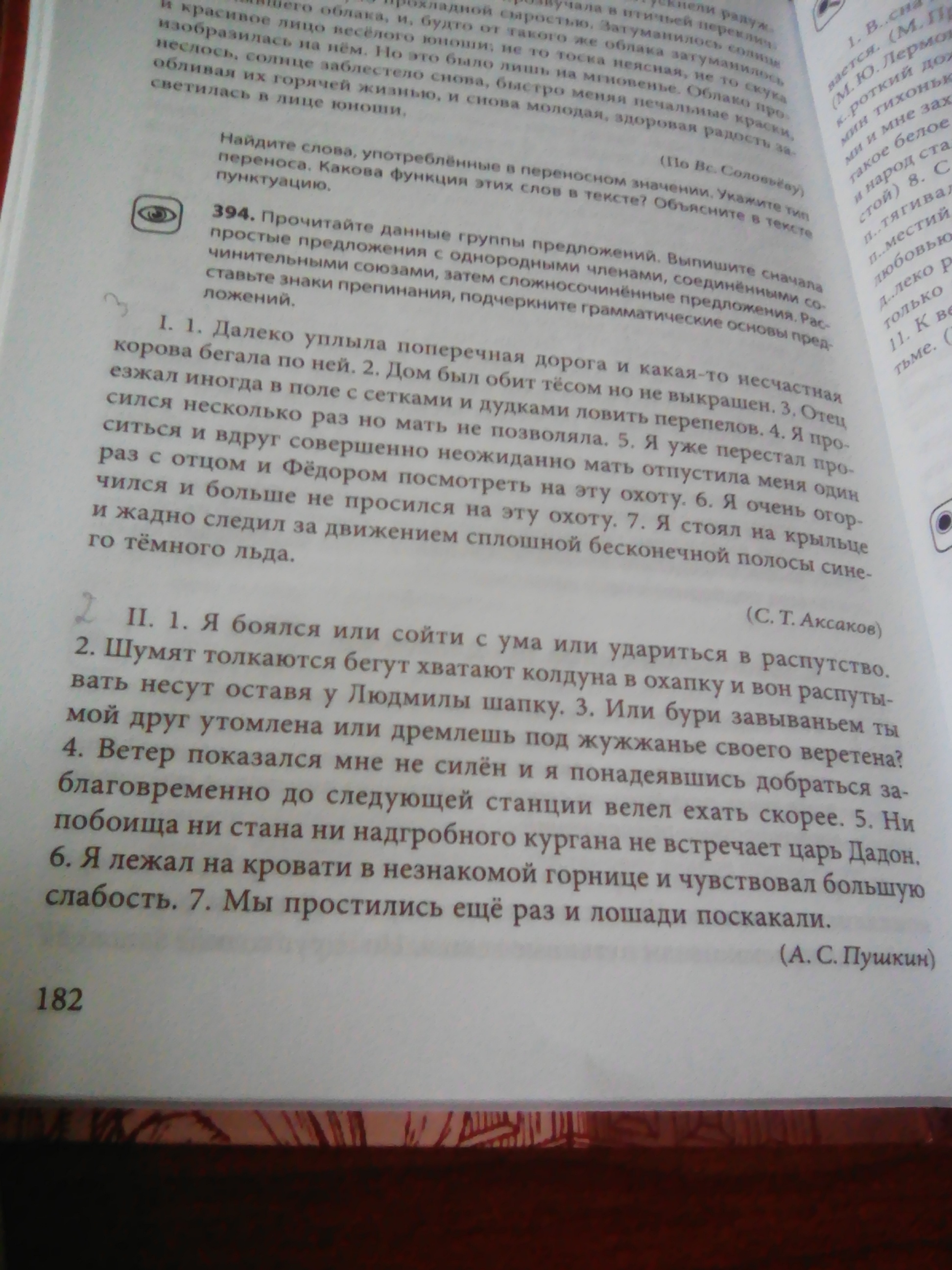 Я лежал на кровати в незнакомой горнице и чувствовал большую слабость