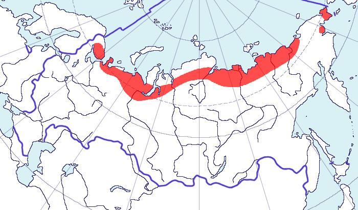 Географическое расположение тундры в россии Опишите любую природную зону в Евразии по плану! План: 1.Географическое положени