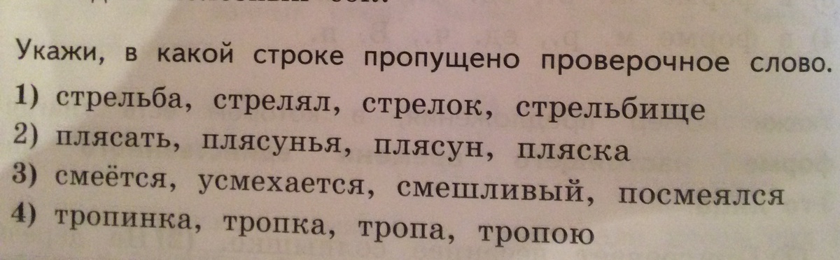 «Писатель» проверочное слово