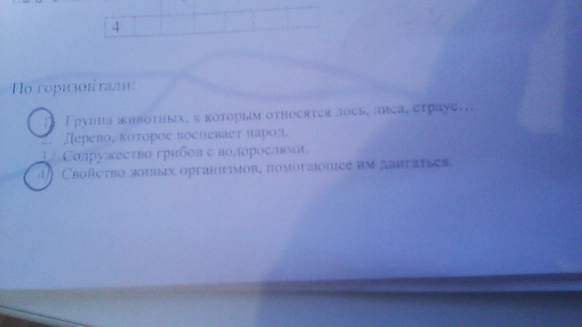 Ошибка семь букв. Ошибка семь букв