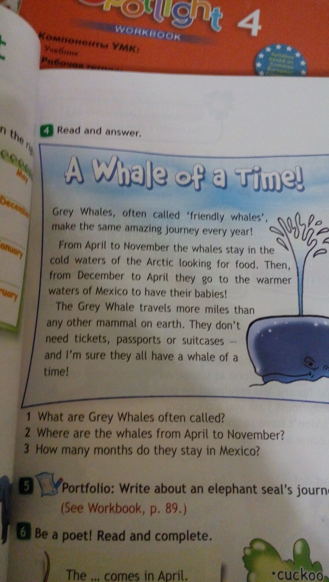 Calling перевод на русский. What are Grey Whales often Called перевод. Grey Whales often Called. Grey Whales often Called friendly Whales make the same amazing Journey every year. Often Called перевод.