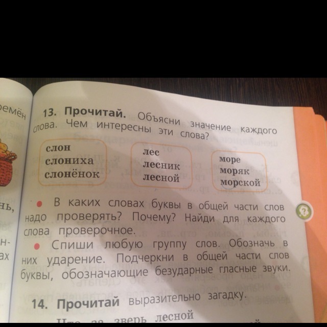 Подчеркни буквы написание которых надо проверить дожди