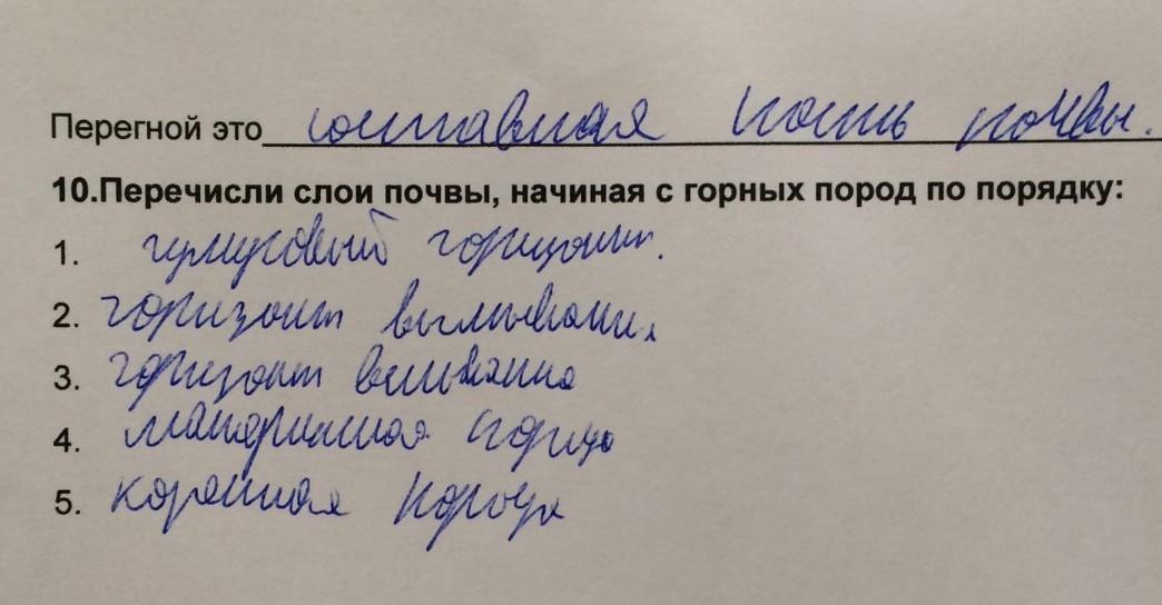 Тут как тут как пишется в предложении. Тут как тут как пишется в предложении