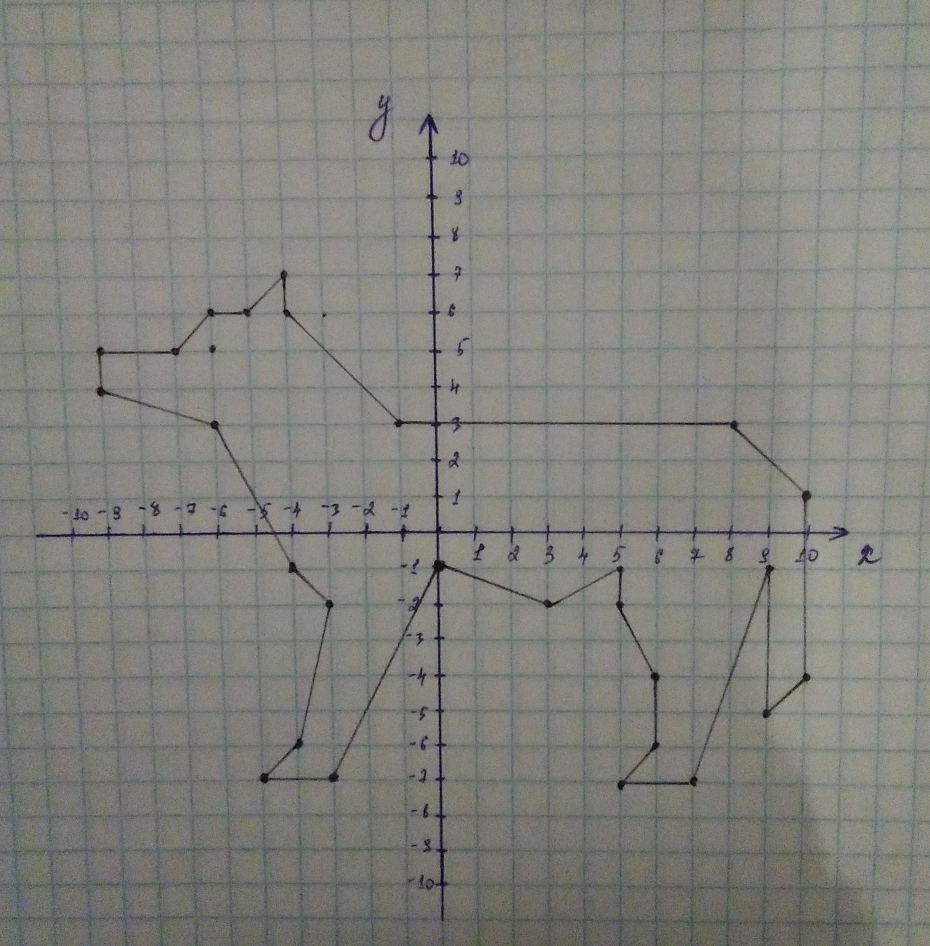 Прямоугольная система координат рисунок животного