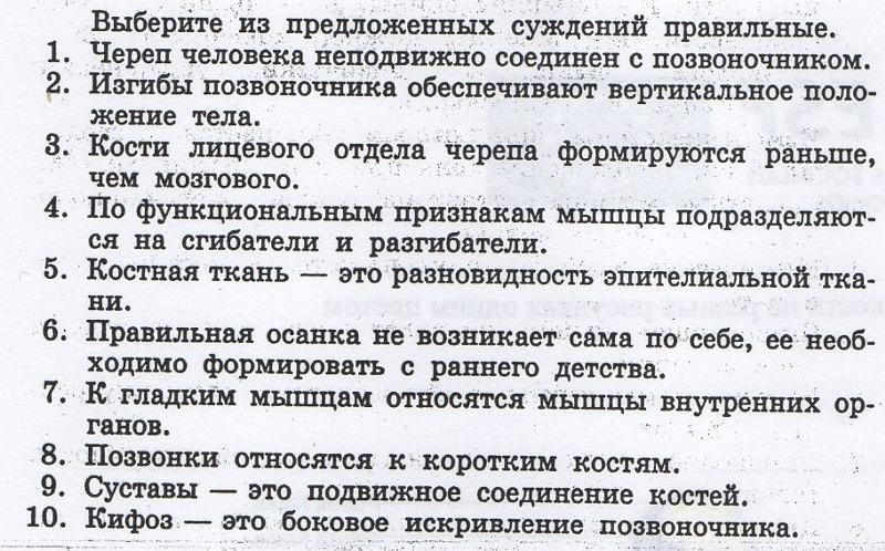 Нужны правильные ответы. Выберите правильные суждения. Пример вопросов суждений по анатомии. Выберите из предложенных суждений правильные кости лицевого. Выберите из предложенных суждений правильные.