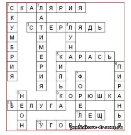 Рыбы сканворд. Кроссворд по биологии 7 класс рыбы. Кроссворд по биологии рыбы. Кроссворд на тему рыбы. Кроссворд на тему рыбные блюда.