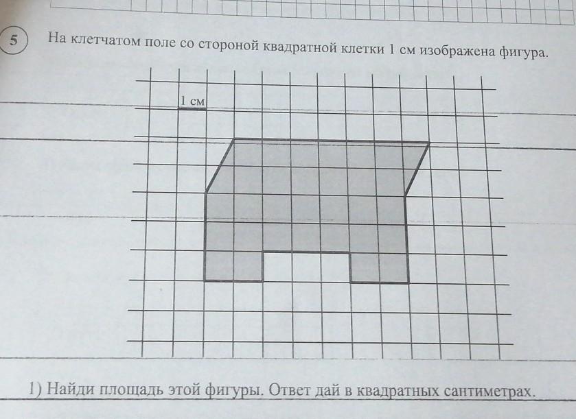 На рисунке изображена фигура нарисуйте квадрат площадь которого