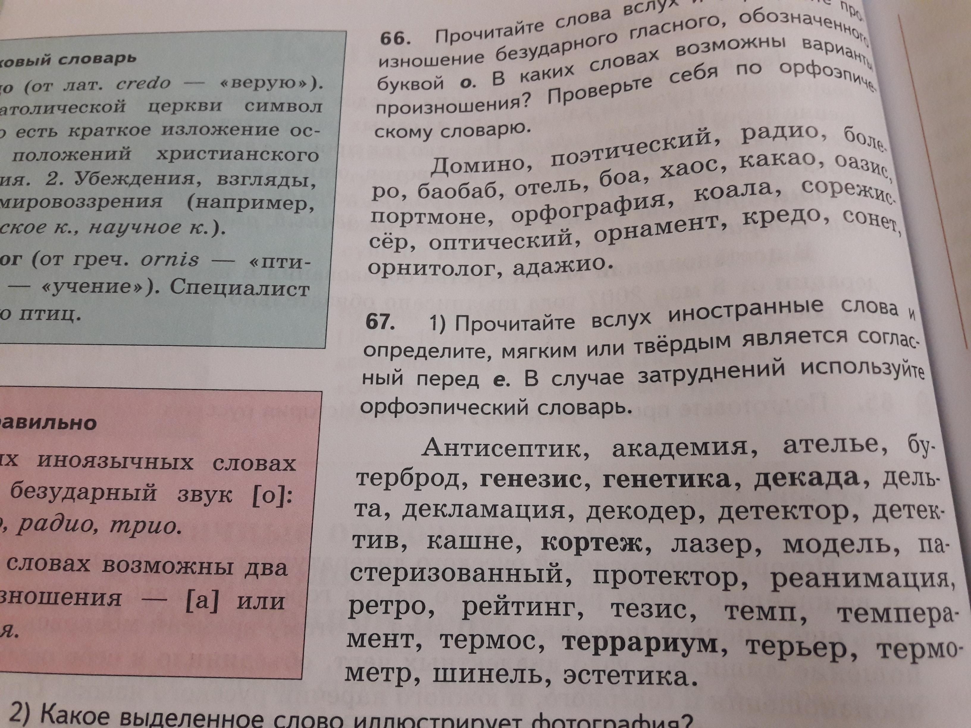 Какое впечатление произвел прочитайте вслух соответствующие строки. Прочитайте вслух. прочитай текст вслух. читать вслух это какая речь. академия твердый или мягкий согласный перед е.