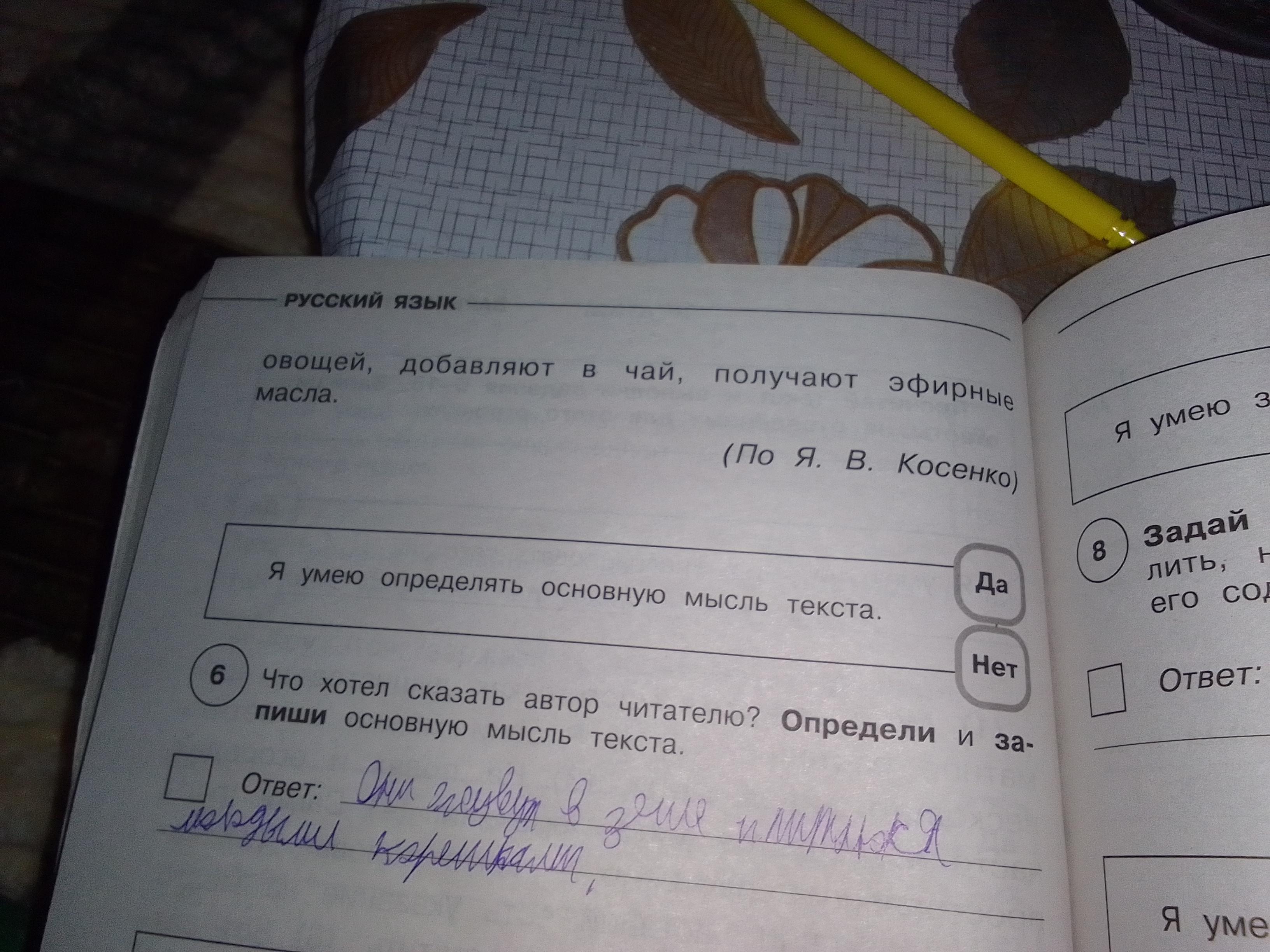 Луковица с радостью план текста из трех пунктов