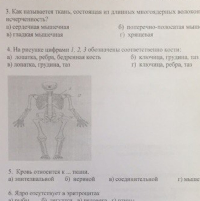 На рисунке цифрами 1 2 3 обозначены соответственно