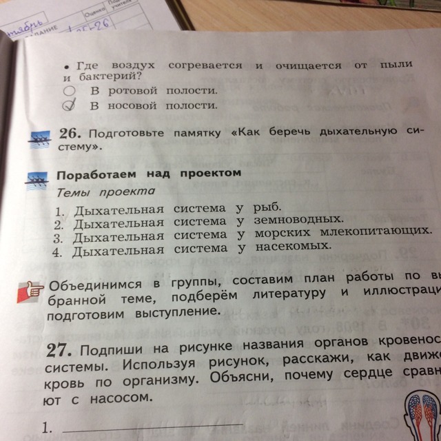 Включи описание номер 23. Закончи предложения в носовой полости воздух согревается. Допиши в предложение названия пропущенных органов дыхания.